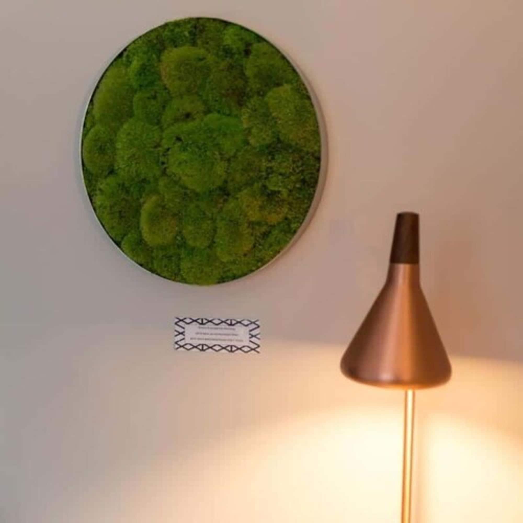 Rugs Hotel Koeln المظهر الخارجي الصورة